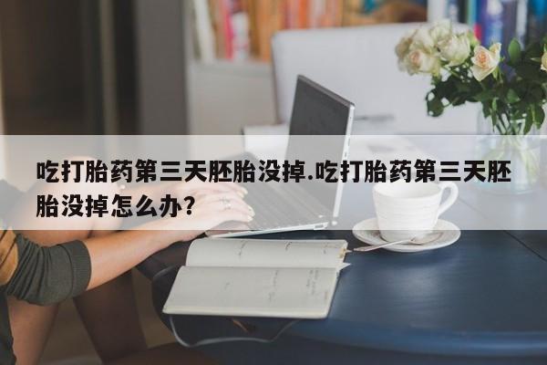 咨询购买正品米非司酮片吃打胎药第三天胚胎没掉.吃打胎药第三天胚胎没掉怎么办？